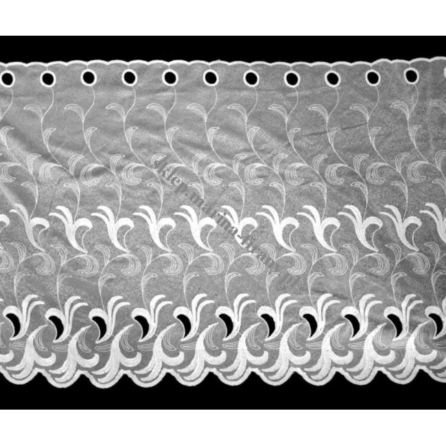 Zazdrostka 36043 wys 65 cm